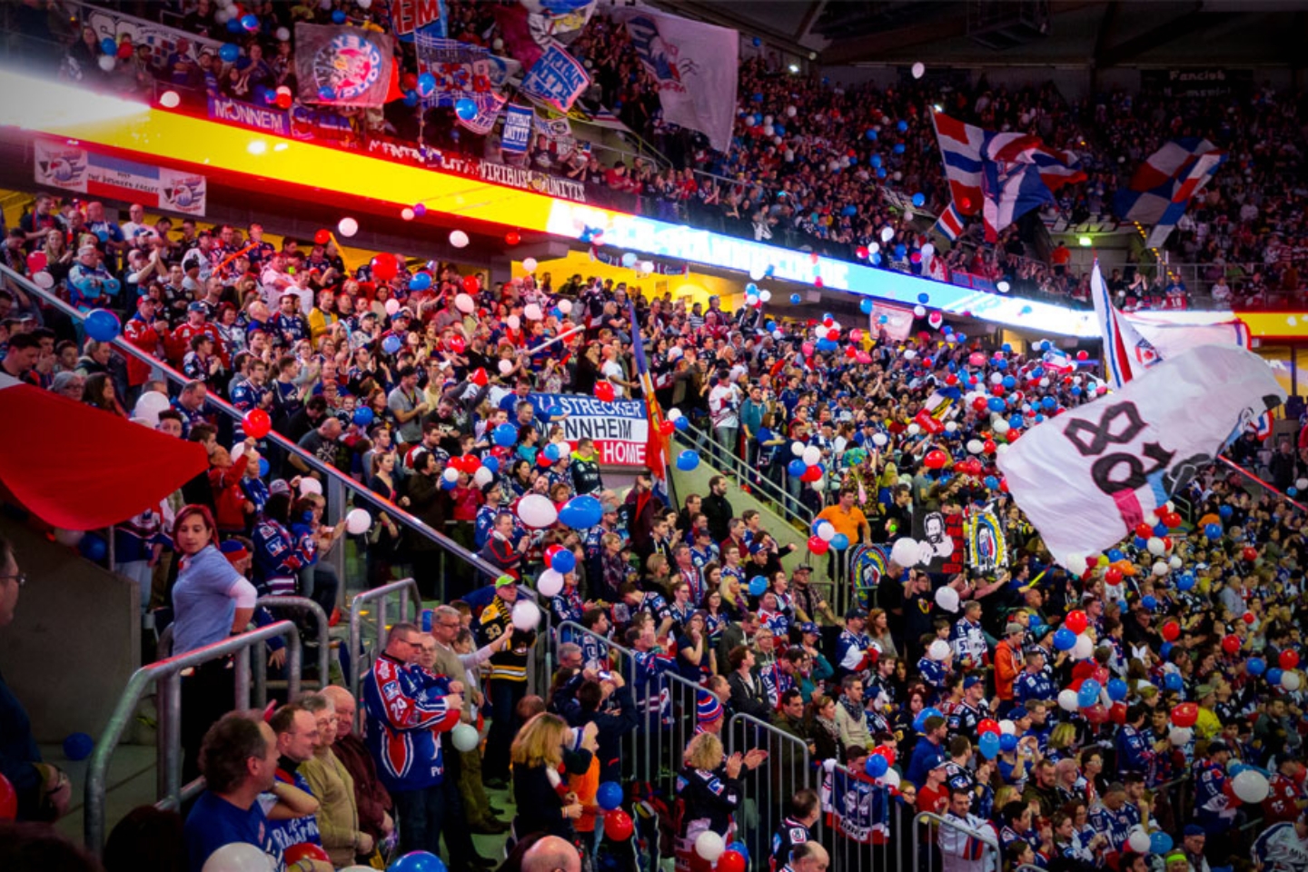 adler mannheim specials fans