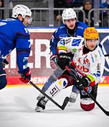 Adler Mannheim Spielbericht BHV