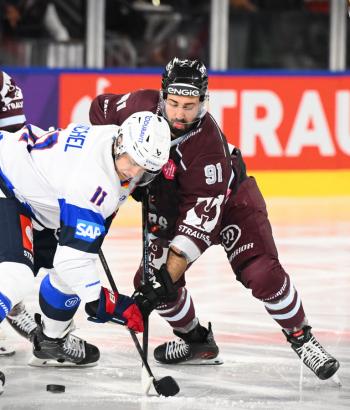 Adler Mannheim Spielbericht BOR