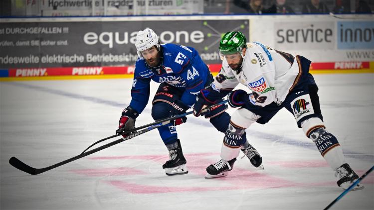 Adler gewinnen PENNY DEL Heimauftakt