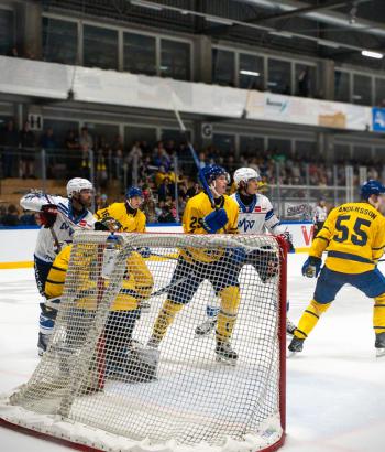 Adler Mannheim Spielbericht HCD