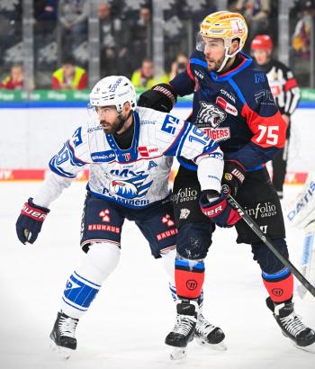 Adler Mannheim Spielbericht NIT