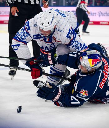 Adler Mannheim Spielbericht RBM