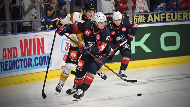 Adler unterliegen schwedischem Meister