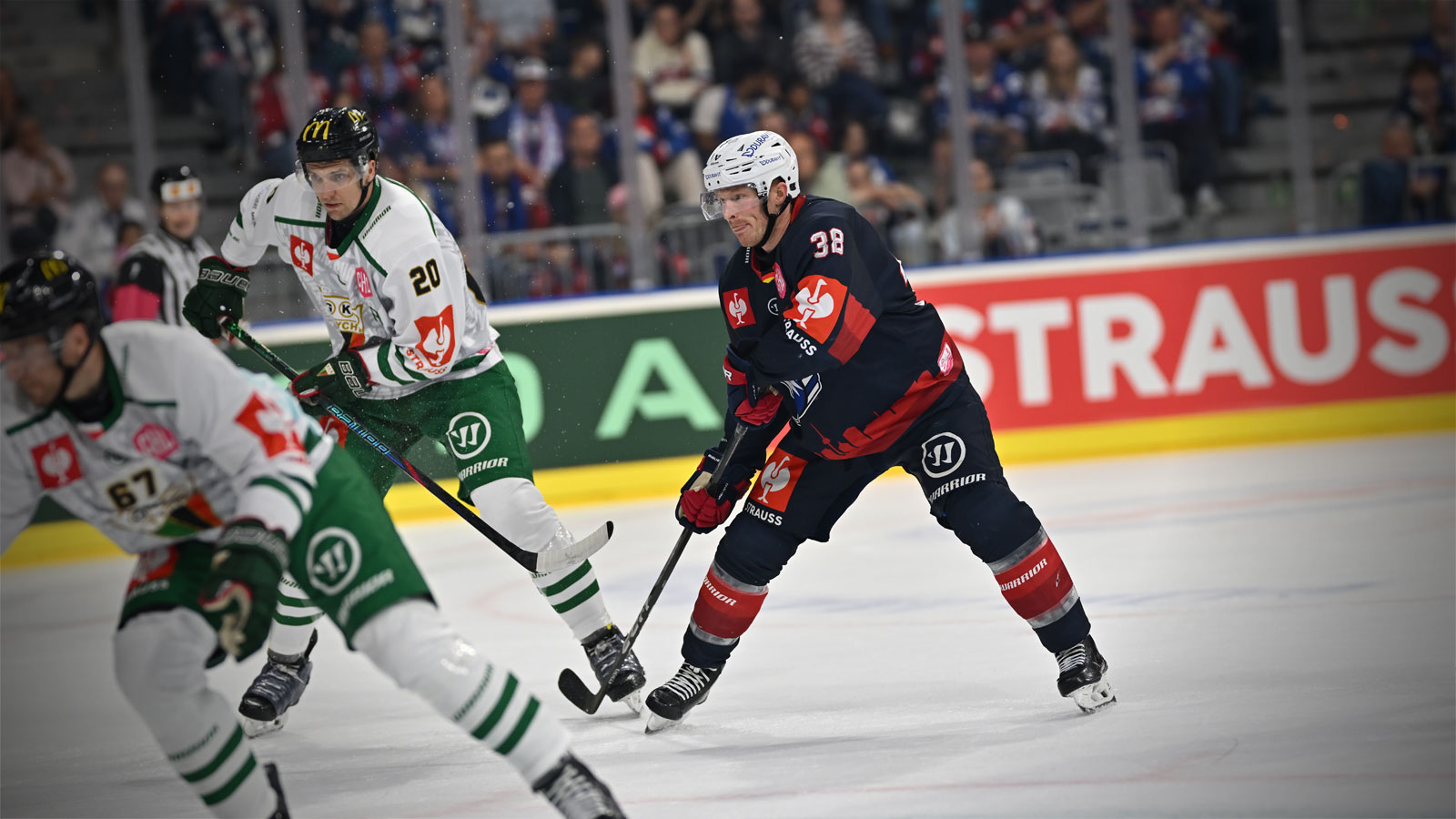 Adler qualifizieren sich für das CHL-Achtelfinale