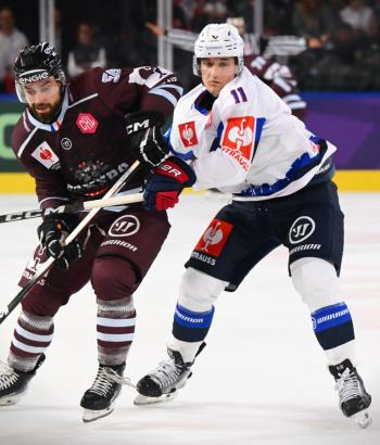 Adler Mannheim Stimmen BOR