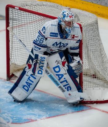 Adler Mannheim Stimmen G99