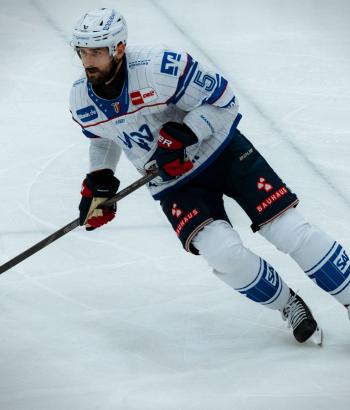 Adler Mannheim Stimmen HCD