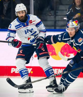 Adler Mannheim Stimmen RBM