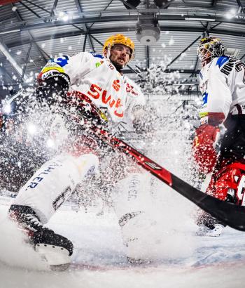 Adler Mannheim TC BHV