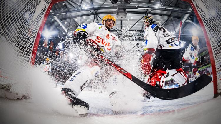Teamcheck: Fischtown Pinguins Bremerhaven