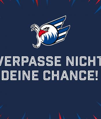 Ebay Versteigerung News