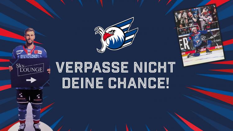 Dein Spieler für Zuhause