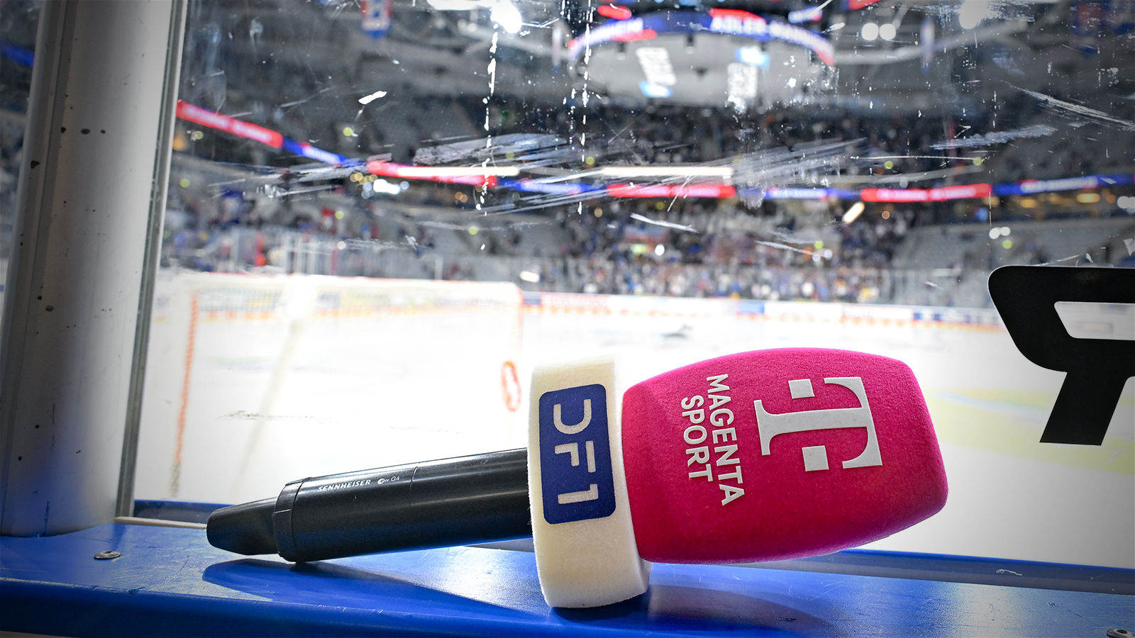 Adler fünfmal im Free-TV