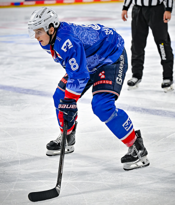 Header FöLi Schlenker