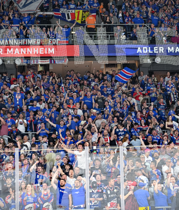 Header LC DK