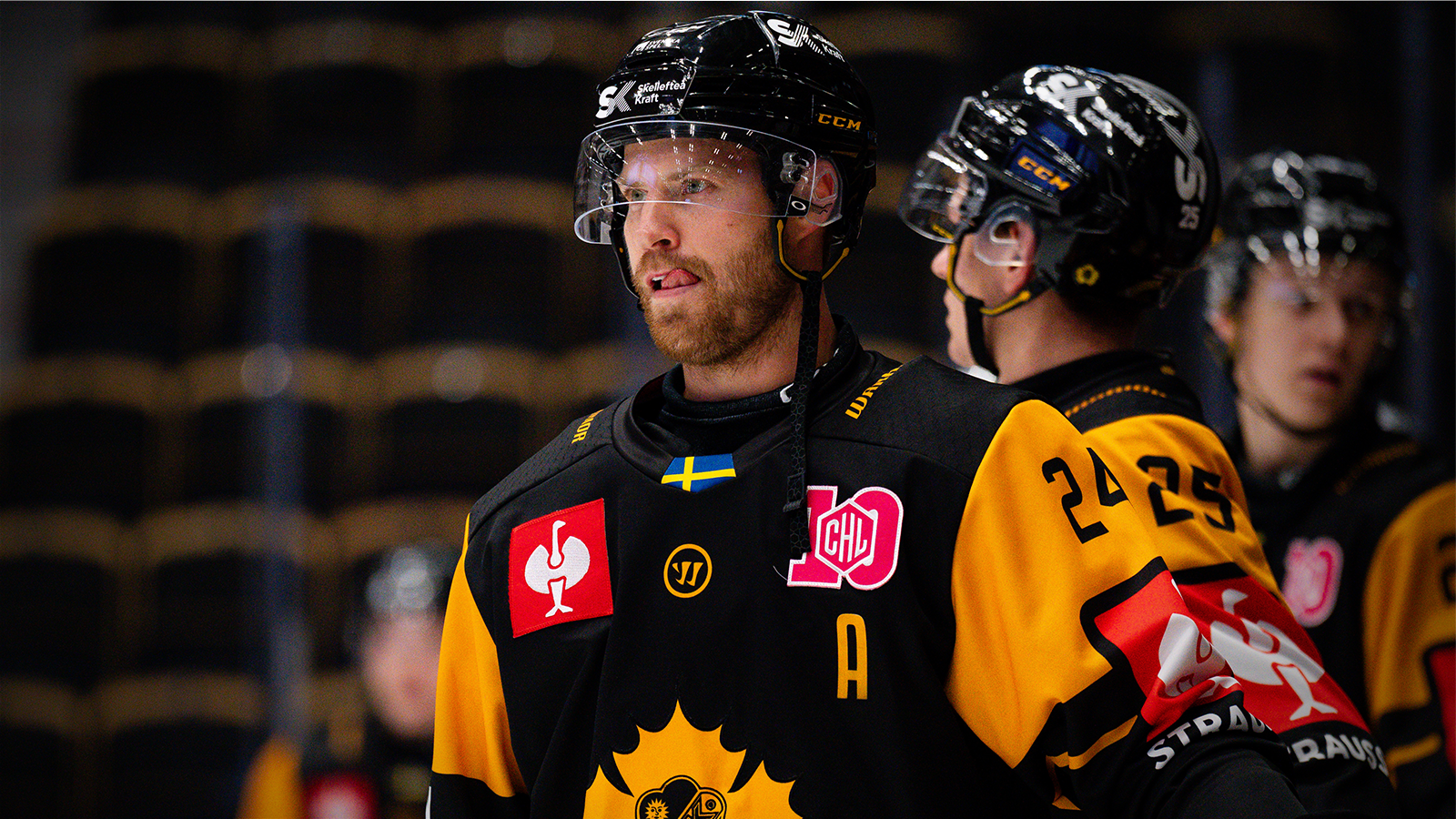 Teamcheck: Skellefteå AIK