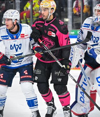 Header Spielbericht NIT