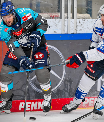 Header Stimmen ING