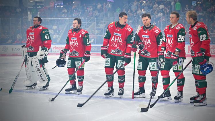 Teamcheck: Augsburger Panther 