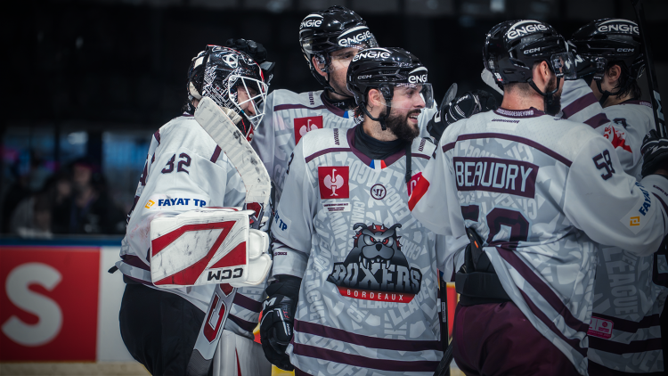 Teamcheck: Boxers de Bordeaux