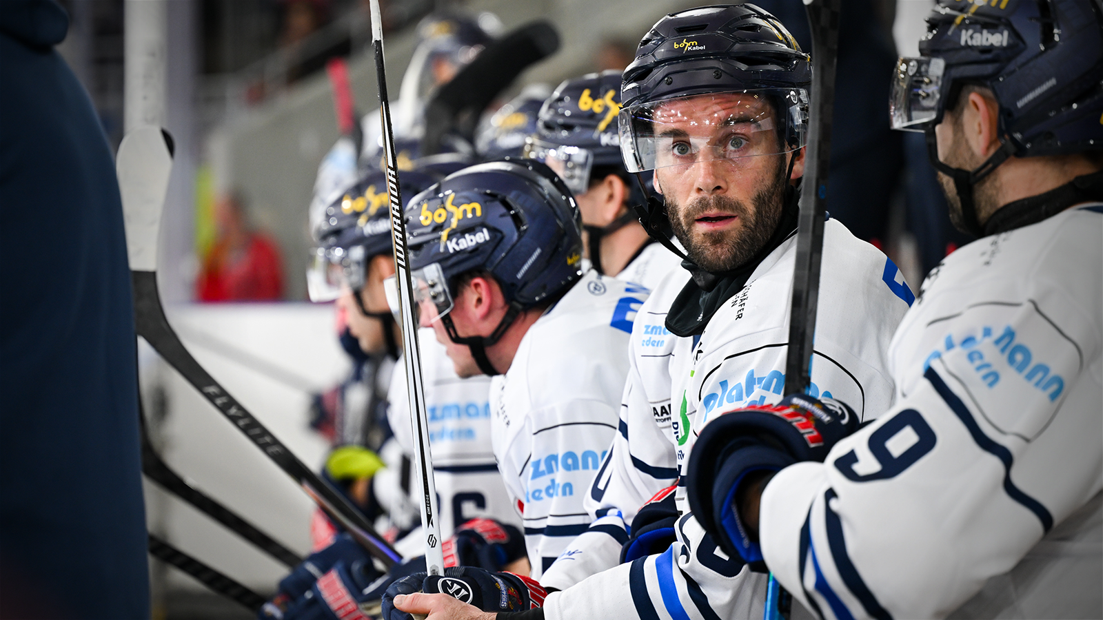 Teamcheck: Iserlohn Roosters