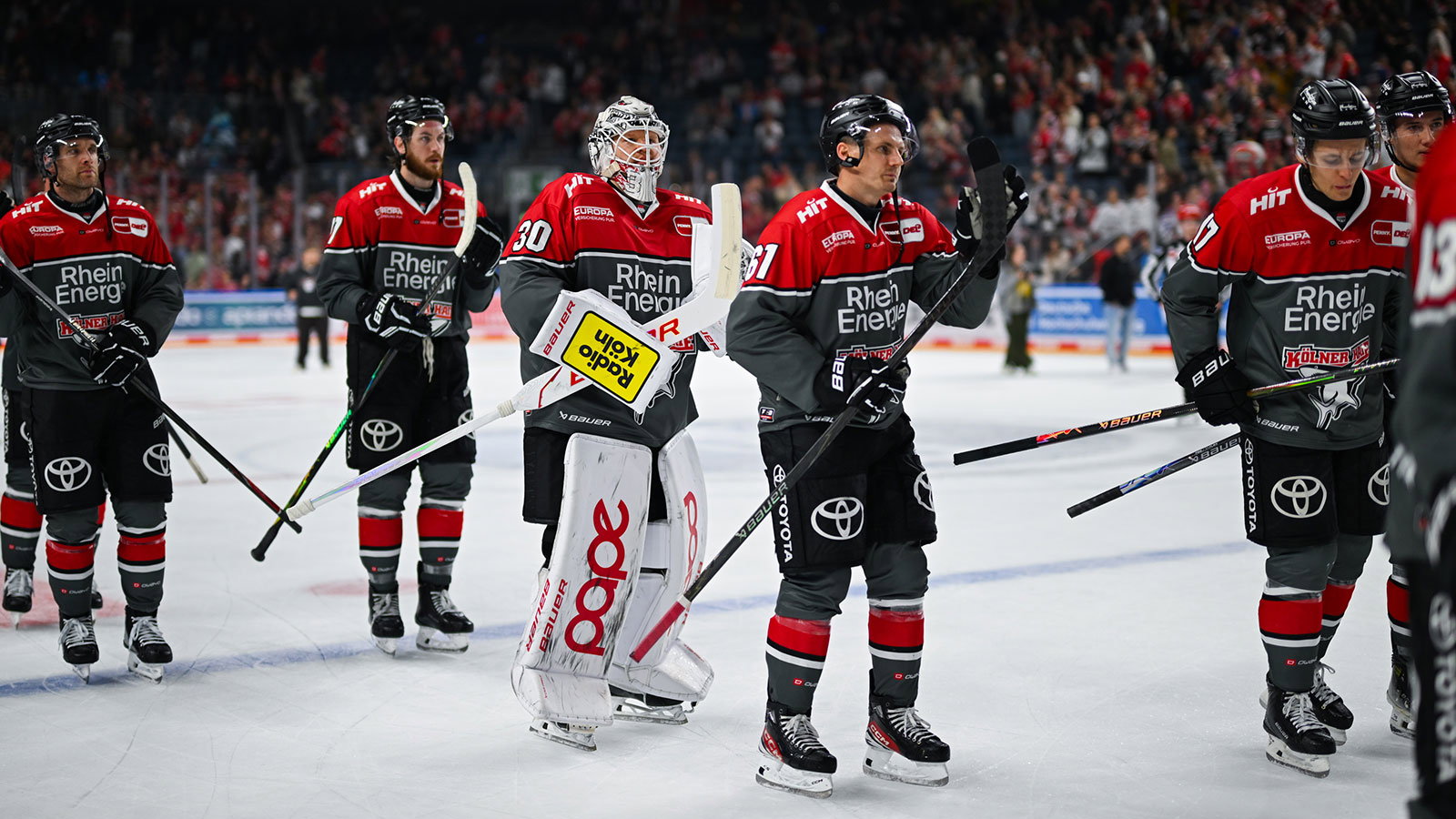 Teamcheck: Kölner Haie