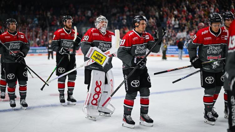 Teamcheck: Kölner Haie