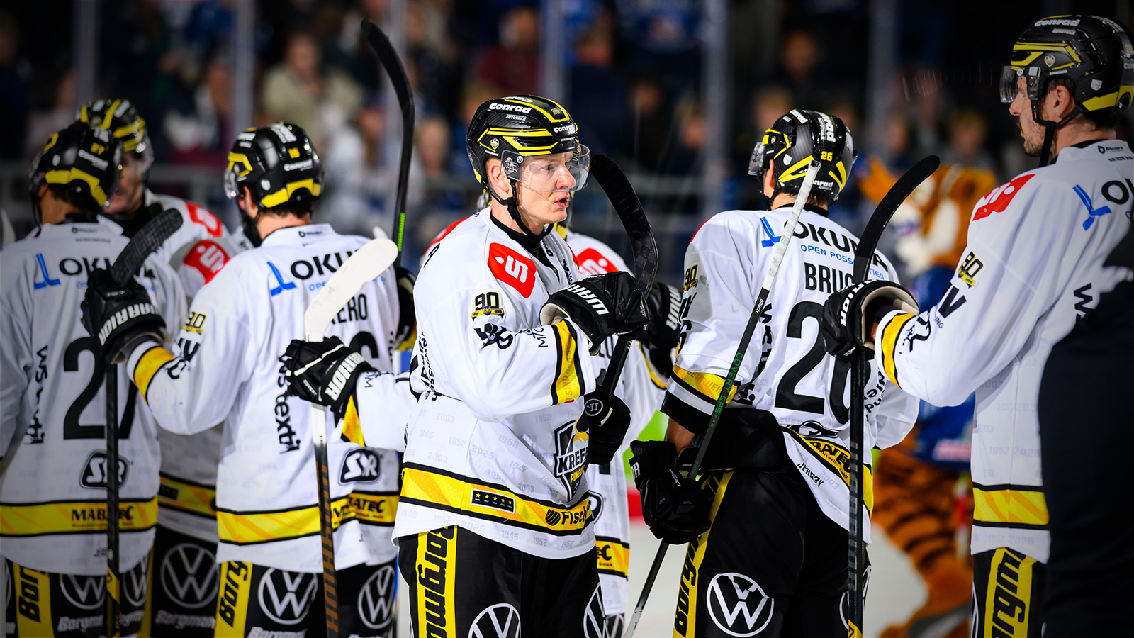 Teamcheck: Krefeld Pinguine