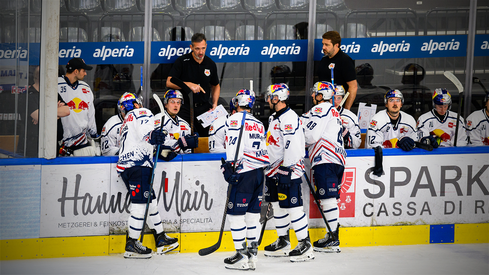 Teamcheck: EHC Red Bull München