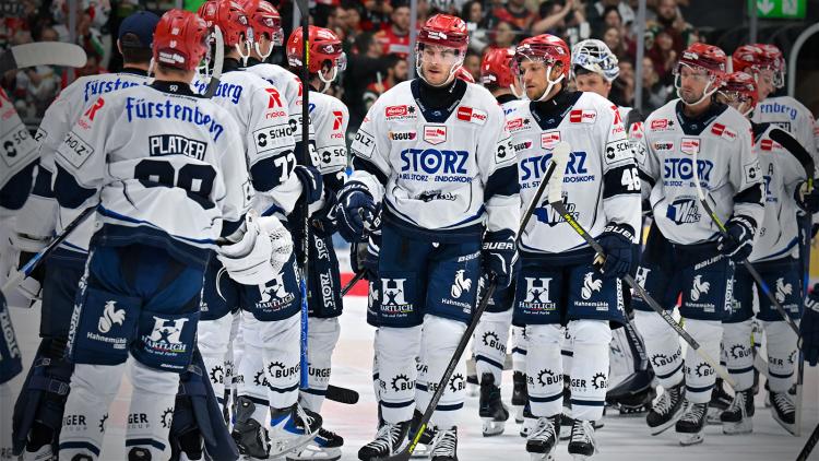 Teamcheck: Schwenninger Wild Wings
