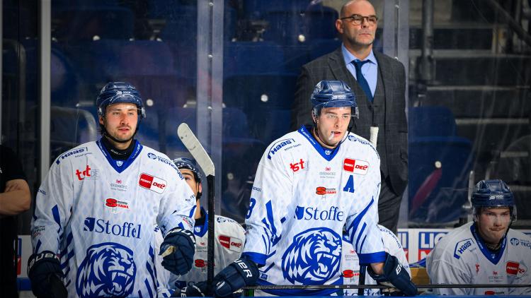 Teamcheck: Straubing Tigers