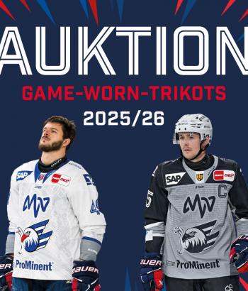 SoM ebay auktion away alternate News 1