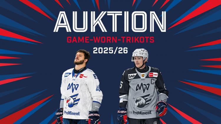 Jetzt Game-Worn-Trikot sichern