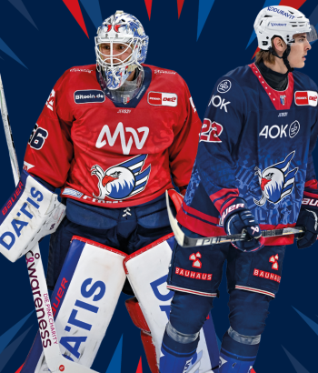 SoM ebay versteigerung warmup plachta News