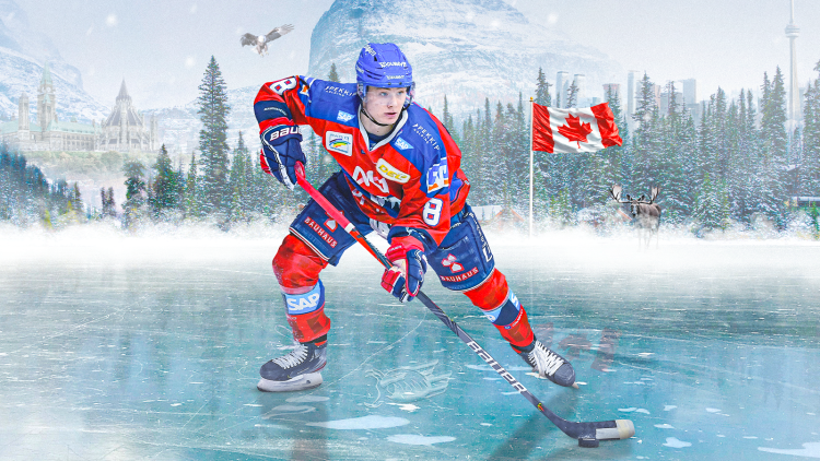 Mit uns und SportFanReisen die NHL live erleben