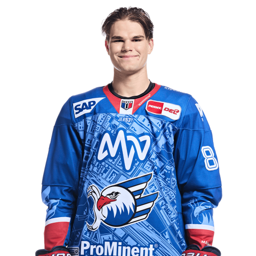 Maximilian Heim
