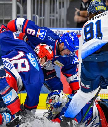 2019 12 12 Adler Mannheim Vorbericht SWW