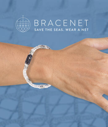 AM Bracenet News