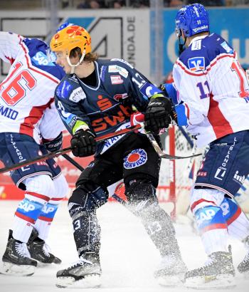 Adler Mannheim Absage BHV