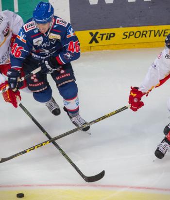 Adler Mannheim Duesseldorf app