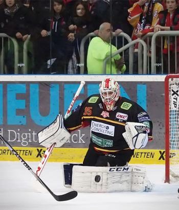 Adler Mannheim Duesseldorfer EG app
