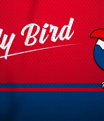 Adler Mannheim EarlyBird