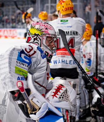Adler Mannheim Gegnercheck BHV