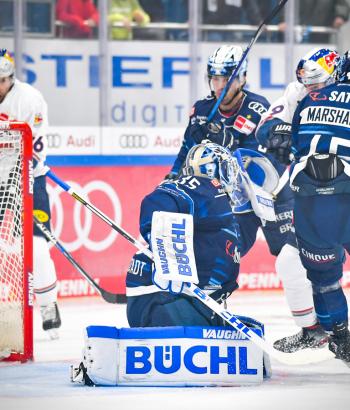 Adler Mannheim Gegnercheck ERC
