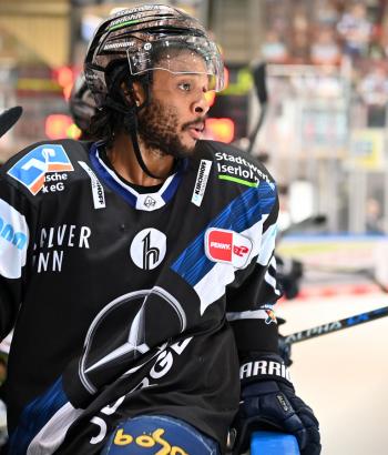 Adler Mannheim Gegnercheck IEC