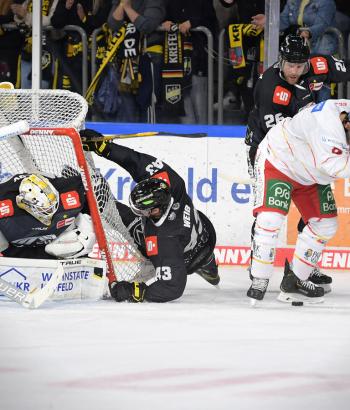 Adler Mannheim Gegnercheck KEV