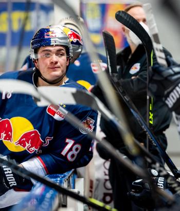 Adler Mannheim Gegnercheck RBM