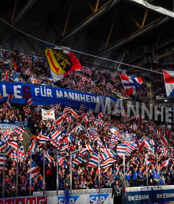 Adler Mannheim HF1 ausverkauft