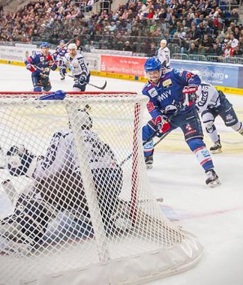 Adler Mannheim Hamburg Freezers Spielbericht app